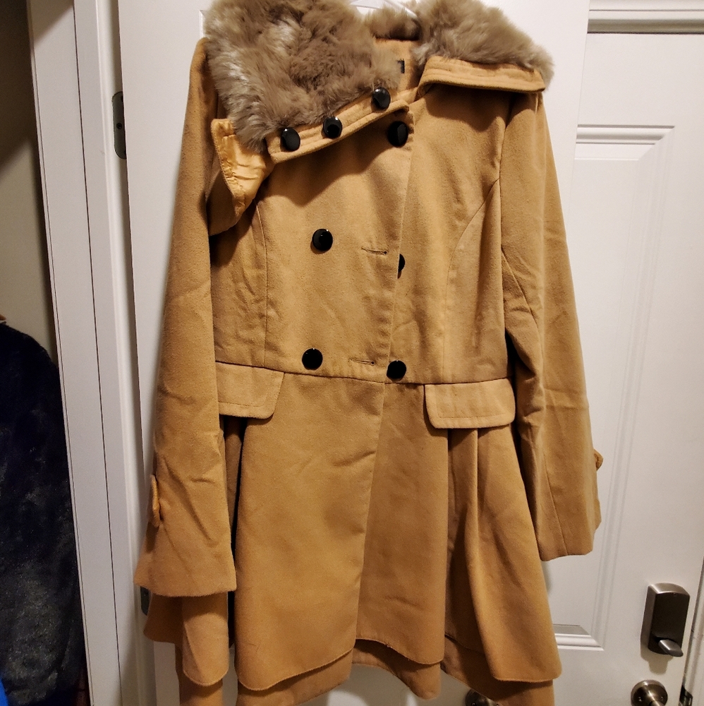 Winter Jacket
